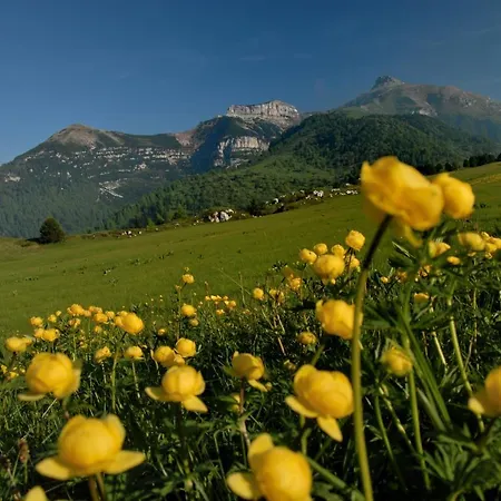 Liebe Mountain View Lägenhet *